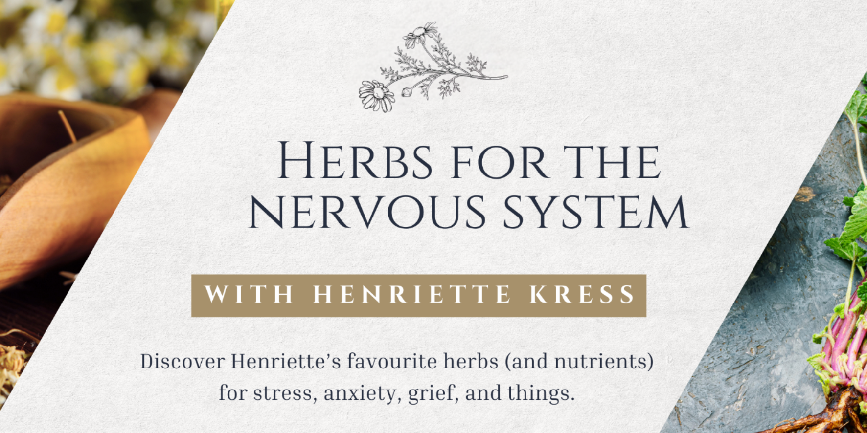 Herbs for the Nervous System with Henriette Kress